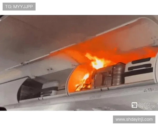 以鲍耶回忆利兹联惊魂一刻球队飞机引擎爆炸险些酿成空难 以鲍耶回忆利兹联惊魂一刻球队飞机引擎爆炸险些酿成空难